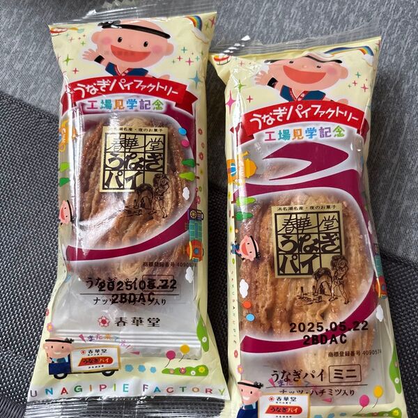 うなぎパイ ミニ6個セット!春華堂
