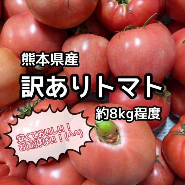大特価! 熊本県産 訳あり トマト 約8kg程度