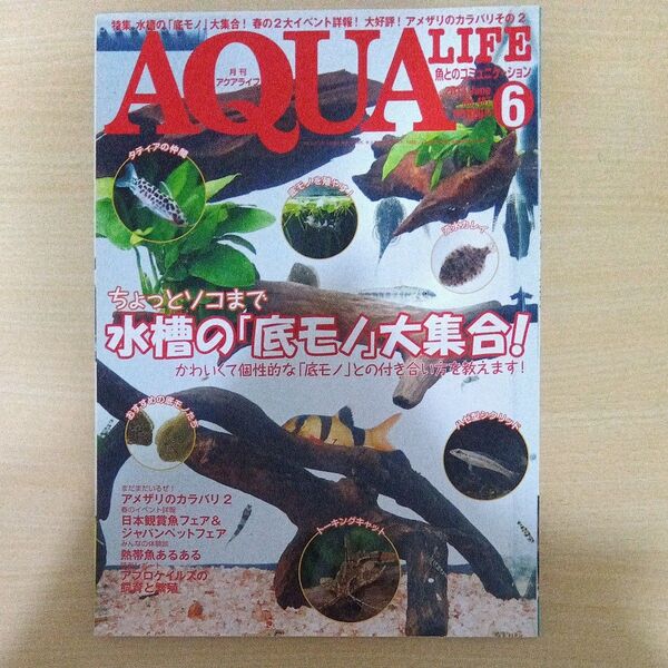 アクアライフ 熱帯魚図鑑