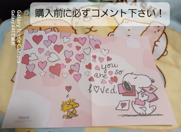 SNOOPYの婚姻届用紙1枚とピンクの婚姻届用紙数枚セットです!