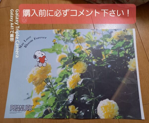 SNOOPYの婚姻届用紙1枚とピンクの婚姻届用紙数枚セットです!