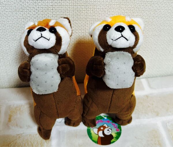レッサーパンダ こんにゃくパーク限定 ぬいぐるみ 2個セット