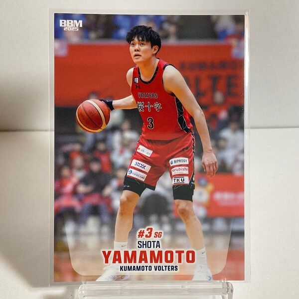 熊本ヴォルターズ 山本翔太 BBM Bリーグ 2024−25 レギュラーカード