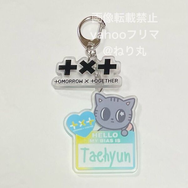 TOMORROW X TOGETHER TXT テヒョン PPULBATU プルバトゥ ダゴニャン アクリルキーホルダー