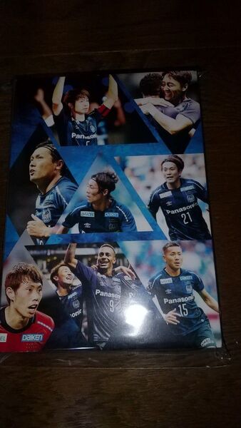 ガンバ大阪 宮本恒靖 激動の1年に完全密着 dvd