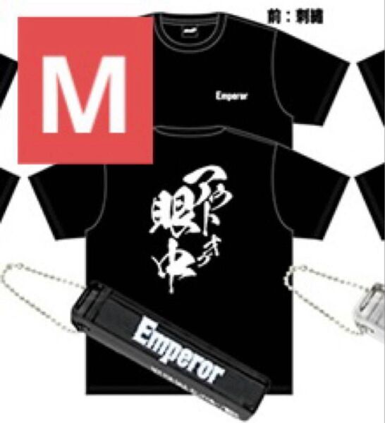 ⑥ 頭文字D ドンキホーテ Tシャツ Mサイズ アクリルキーホルダー付き