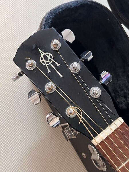Alvarez K.Yairi /AY-38 L.R.BaggsPickupのオマケ付き ケース付き