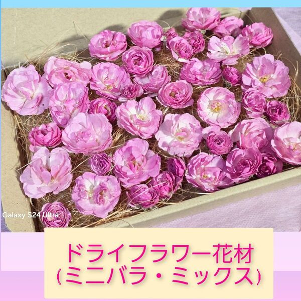 ドライフラワー花材 (ミニバラ・ミックス)