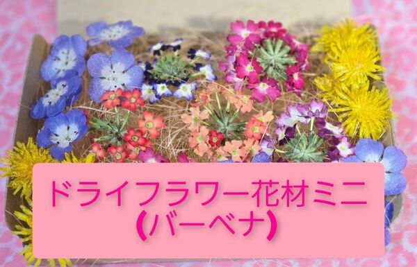 ドライフラワー花材(バーベナ)