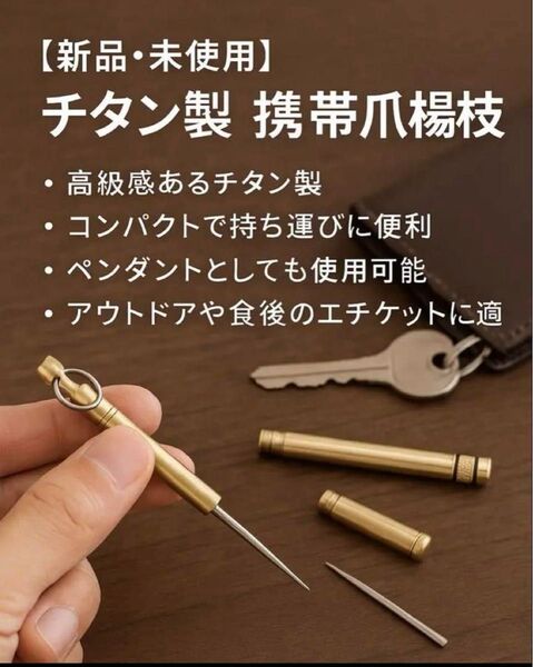 【1本】高級感◎ チタン製 携帯爪楊枝 ケース付き エチケット