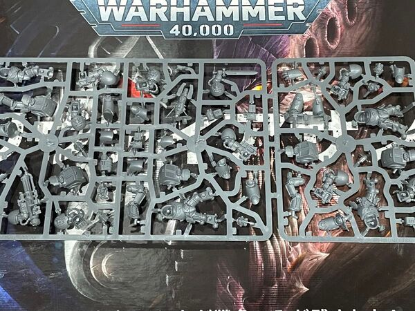 ウォーハンマー スペースマリーン コンバットパトロール WARHAMMER