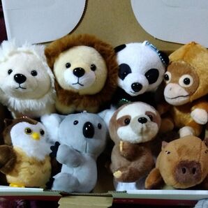 動物園ふれんずマスコット全8種