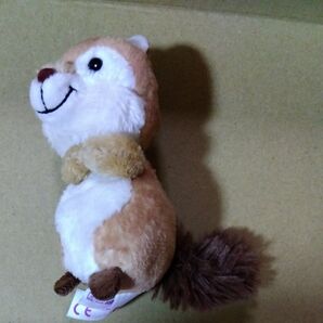 NICIキーリング リス