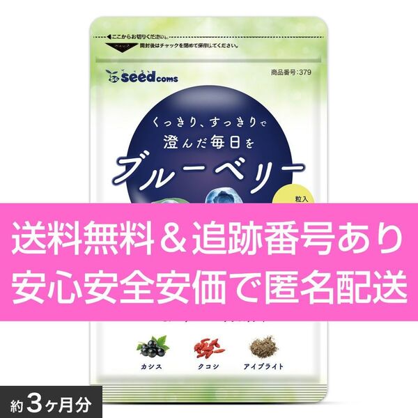 約3ヶ月分 90粒入り ブルーベリー シードコムス サプリメント