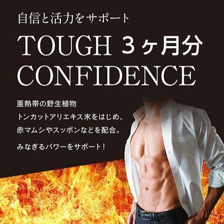 約3ヶ月分 90粒入り タフコンフィデンス シードコムス サプリメント