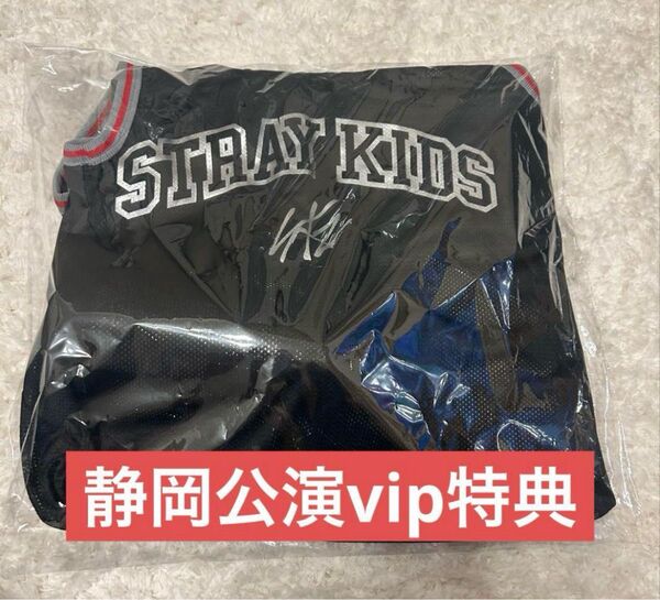 stray kids スキズ DominATE VIP特典