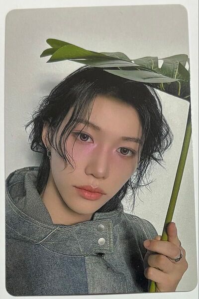 straykidsスキズ エコパスタジアム CD予約特典トレカ フィリックス
