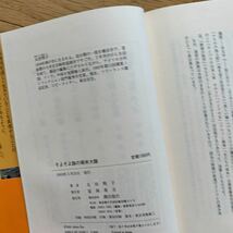 そよそよ族の南米大陸　太田明子　帯付き　潮出版社　表紙傷み、シミあり　1993年発行　第11回潮賞ノンフィクション部門優秀作　海外旅_画像4