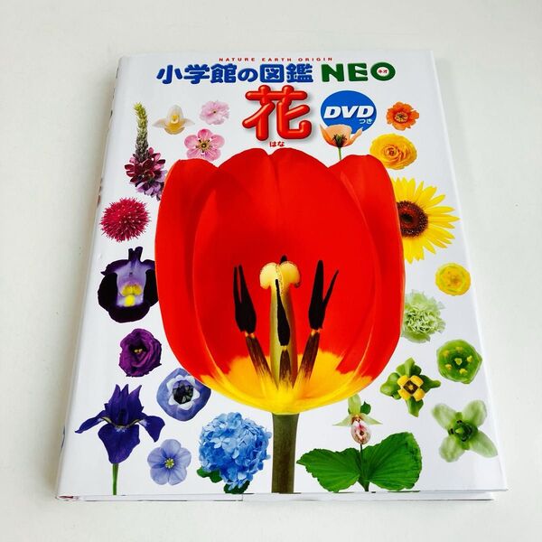 【美品】花 (小学館の図鑑NEO 19) 多田多恵子/監修・執筆 大作晃一/ほか写真