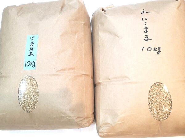 お米 にこまる 玄米20kg 令和6年度