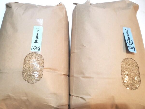 お米 にこまる 玄米20kg 令和6年度