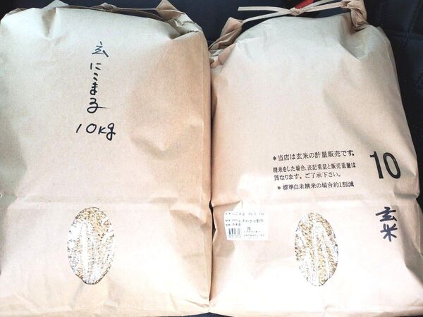 お米 にこまる 玄米20kg 令和6年度