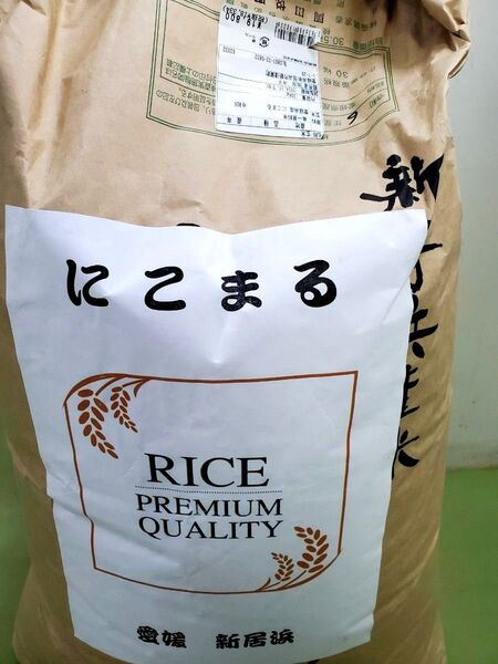 お米 にこまる 玄米15kg 令和6年度