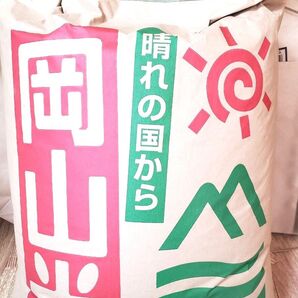 お米 にこまる 玄米10kg 令和6年度