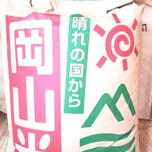 お米 にこまる 玄米10kg 令和6年度