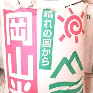 お米 にこまる 玄米10kg 令和6年度