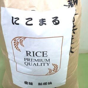 お米 にこまる 玄米15kg 令和6年度