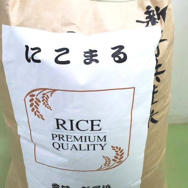 お米 にこまる 玄米15kg 令和6年度