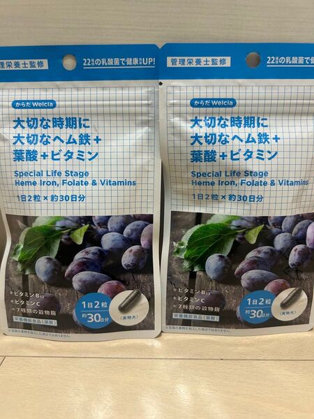 からだ ウェルシア 大切な時期に大切なヘム鉄 葉酸 ビタミン 60日分