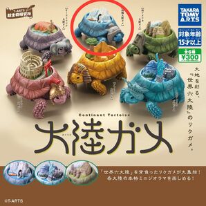 T-ARTS 超生物研究所 大陸ガメ 南極大陸ガメ