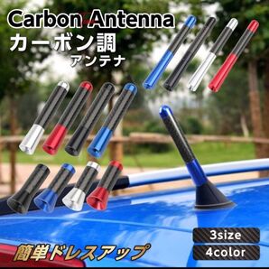 カーアンテナ カーアクセサリー ショートアンテナ ユーロアンテナ ラジオ 受信 AM FM 車 自動車 カスタム ドレスアップ