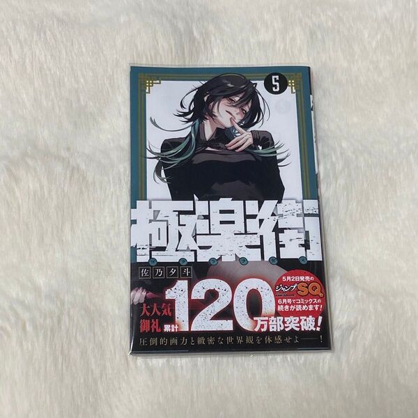 極楽街 5巻 佐乃夕斗