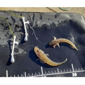 ハゼジグ 根掛かり軽減ジグ ちょい投げ 脈釣り 6本セット