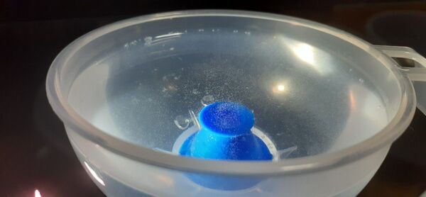 メダカの餌 朝の時短に ゾウリムシ分離器 ロートとセット
