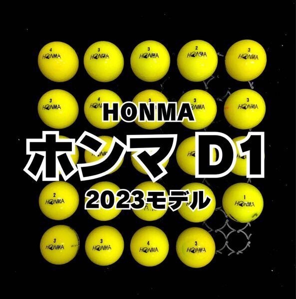 110 2023モデル ホンマD1 ロストボール24球