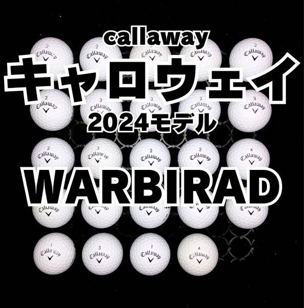 1 2024モデル キャロウェイ WARBIRD ロストボール24球