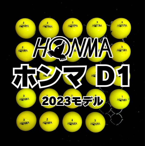 24 2023モデル ホンマD1 ロストボール24球