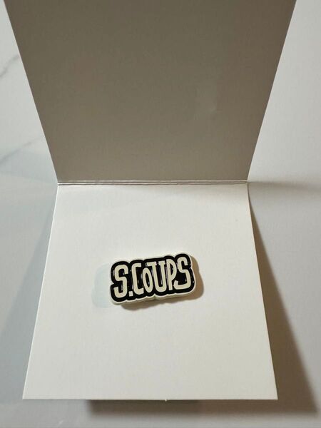 SEVENTEEN セブチ HOLIDAY PINS ピンズ ピンバッジ エスクプス スンチョル