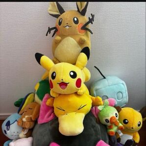 ポケットモンスター ぬいぐるみ ポケモン ピカチュウ ポケモンセンター