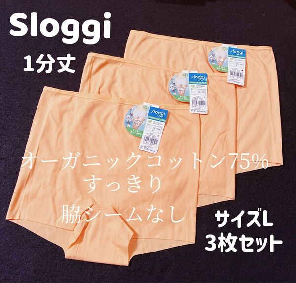 トリンプ スロギー ナチュラルヒップ ショーツ 一分丈 サイズL3枚 #4