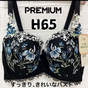 トリンプ H65 プレミアム レッドレーベル 0078 ブラジャー #4