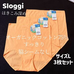 トリンプ スロギー ナチュラルヒップ はきこみ深めショーツ L3枚 #3