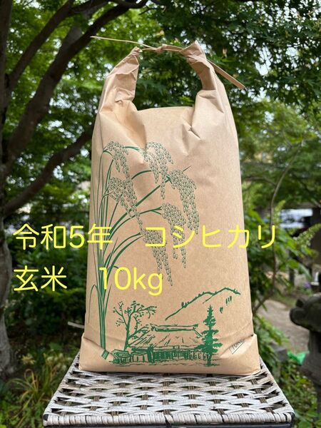 茨城県産 コシヒカリ10kg 送料込み