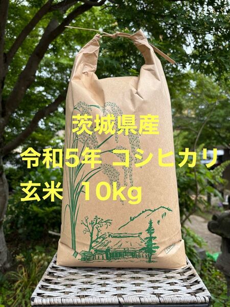 コシヒカリ 玄米 10kg 送料込み