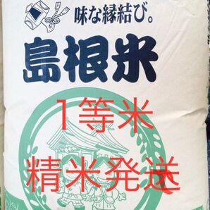 令和6年産 島根県産 つや姫 30キロ 1等精米
