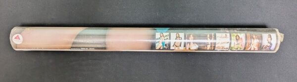 池田夏希 カレンダー 2009